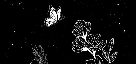 Manifesting Your Dreams: Techniques for a Positive Mindset